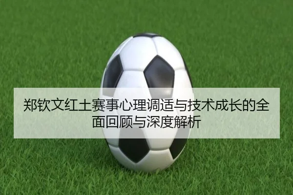 郑钦文红土赛事心理调适与技术成长的全面回顾与深度解析