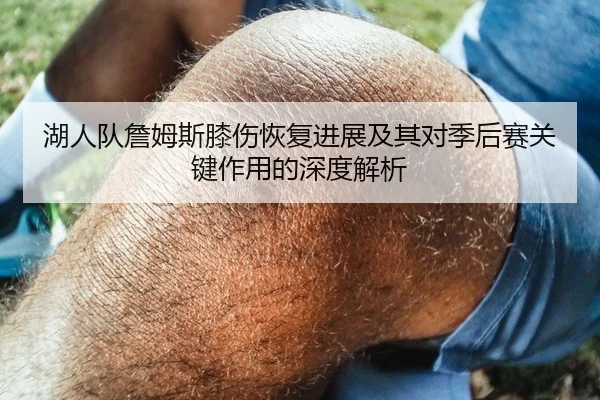 湖人队詹姆斯膝伤恢复进展及其对季后赛关键作用的深度解析
